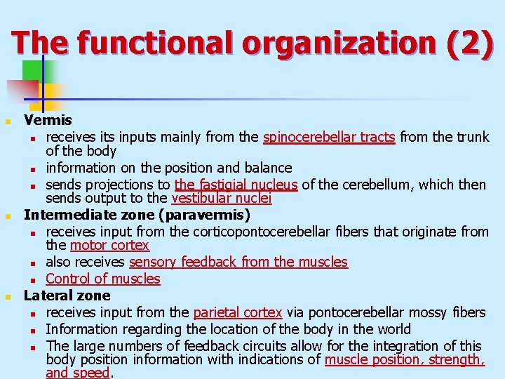 The functional organization (2) n n n Vermis n receives its inputs mainly from