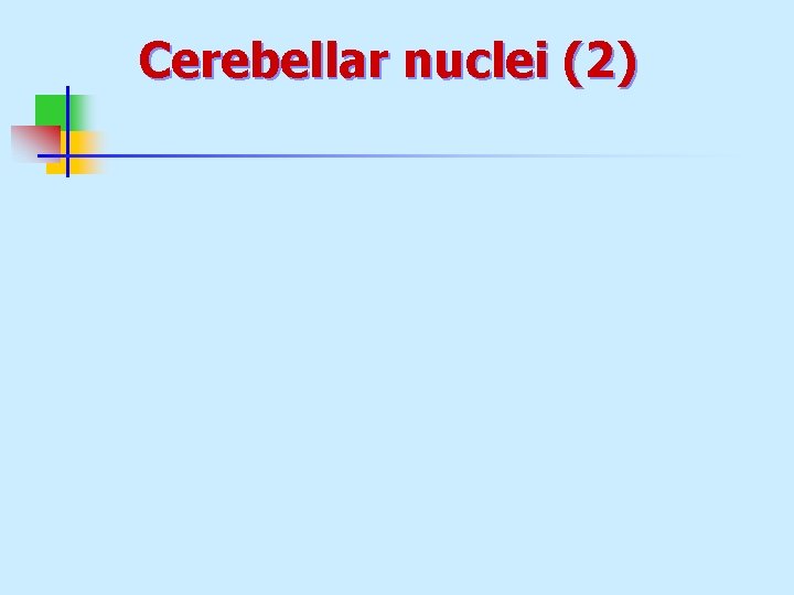 Cerebellar nuclei (2) 