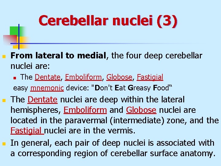 Cerebellar nuclei (3) n From lateral to medial, the four deep cerebellar nuclei are: