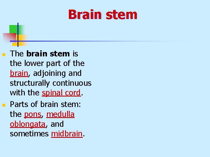 Brain stem n n The brain stem is the lower part of the brain,