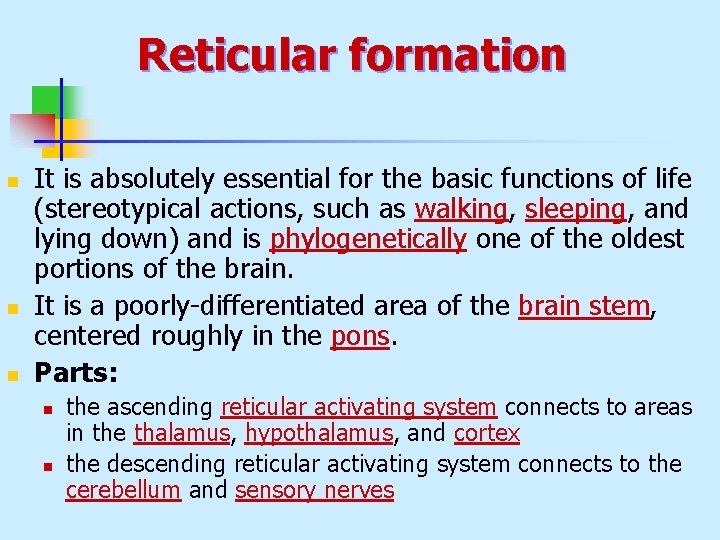 Reticular formation n It is absolutely essential for the basic functions of life (stereotypical