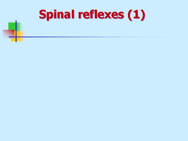 Spinal reflexes (1) 