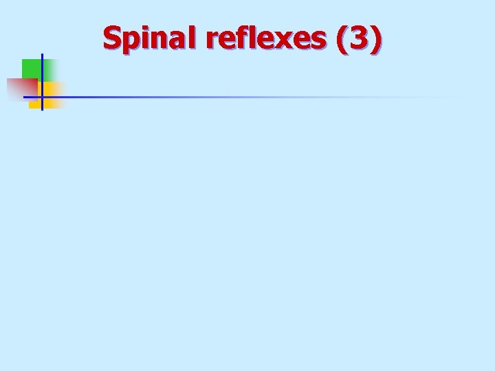 Spinal reflexes (3) 