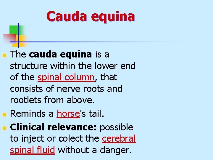 Cauda equina n n n The cauda equina is a structure within the lower