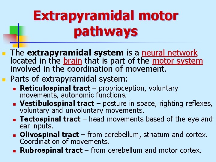 Extrapyramidal motor pathways n n The extrapyramidal system is a neural network located in