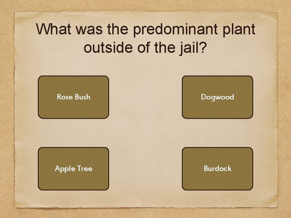 What was the predominant plant outside of the jail? Rose Bush Dogwood Apple Tree