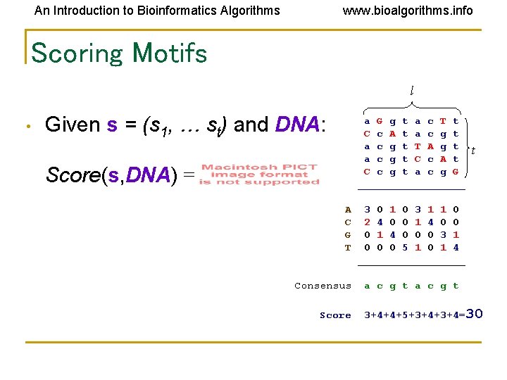 An Introduction to Bioinformatics Algorithms www. bioalgorithms. info Scoring Motifs l • Given s