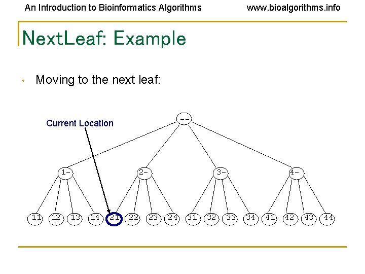 An Introduction to Bioinformatics Algorithms www. bioalgorithms. info Next. Leaf: Example • Moving to