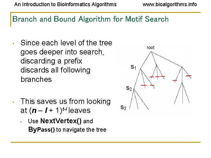An Introduction to Bioinformatics Algorithms www. bioalgorithms. info Branch and Bound Algorithm for Motif