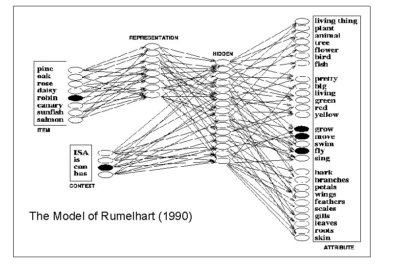The Model of Rumelhart (1990) 