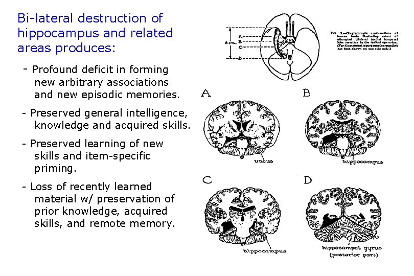 Bi-lateral destruction of hippocampus and related areas produces: - Profound deficit in forming new