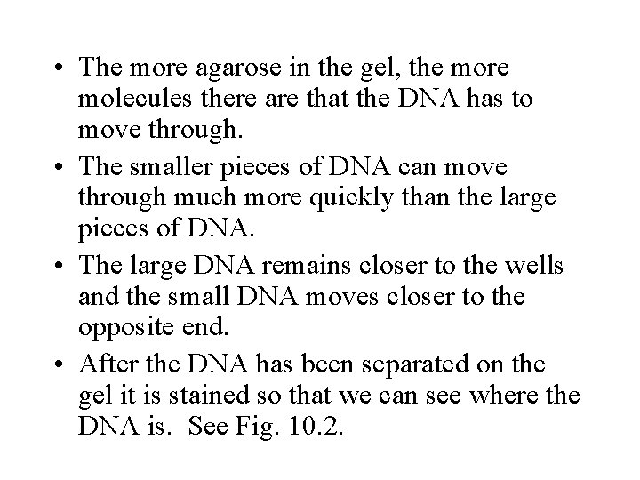 • The more agarose in the gel, the more molecules there are that • The more agarose in the gel, the more molecules there are that