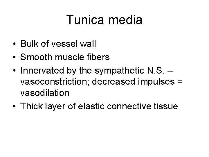 Tunica media • Bulk of vessel wall • Smooth muscle fibers • Innervated by