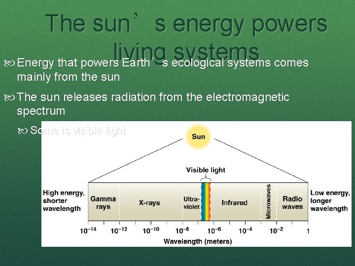 The sun’s energy powers living systems Energy that powers Earth’s ecological systems comes mainly