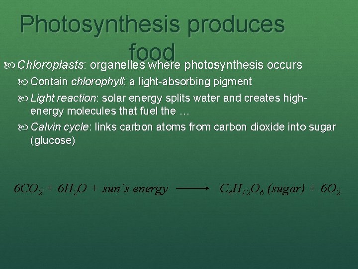 Photosynthesis produces food Chloroplasts: organelles where photosynthesis occurs Contain chlorophyll: a light-absorbing pigment Light