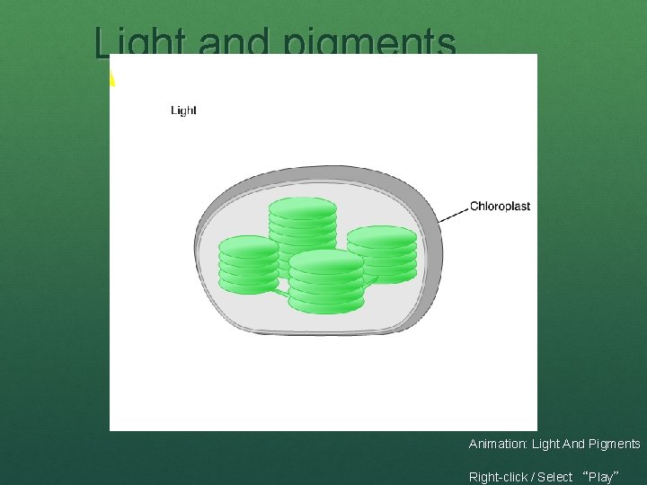 Light and pigments Animation: Light And Pigments Right-click / Select “Play” 