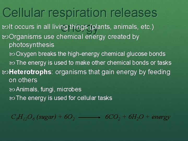 Cellular respiration releases It occurs in all living things (plants, animals, etc. ) energy