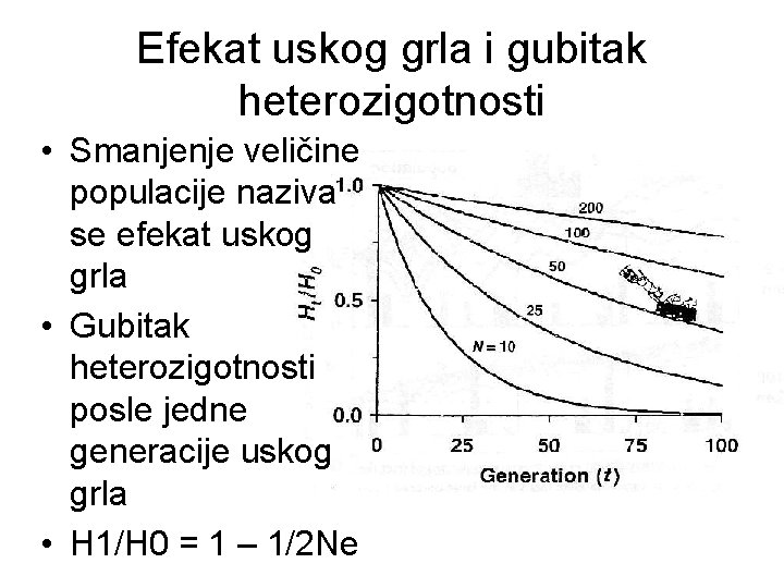 Efekat uskog grla i gubitak heterozigotnosti • Smanjenje veličine populacije naziva se efekat uskog