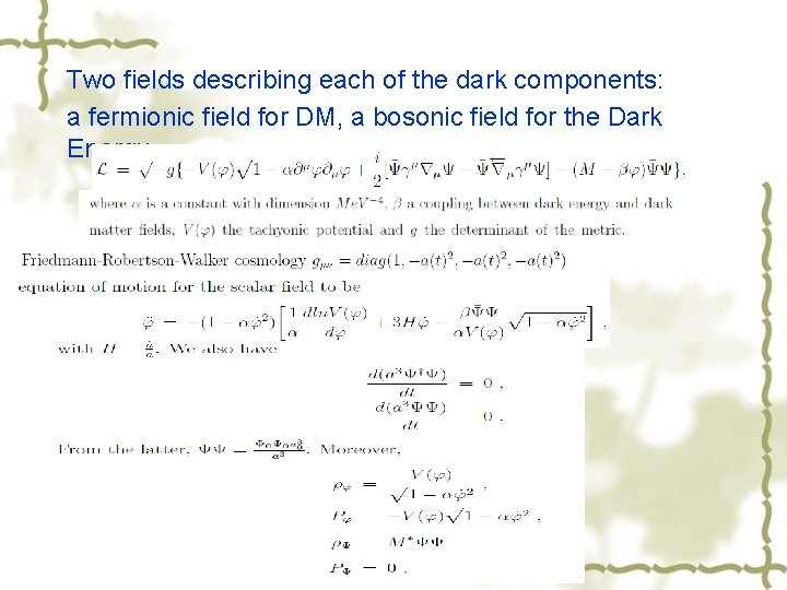 Two fields describing each of the dark components: a fermionic field for DM, a