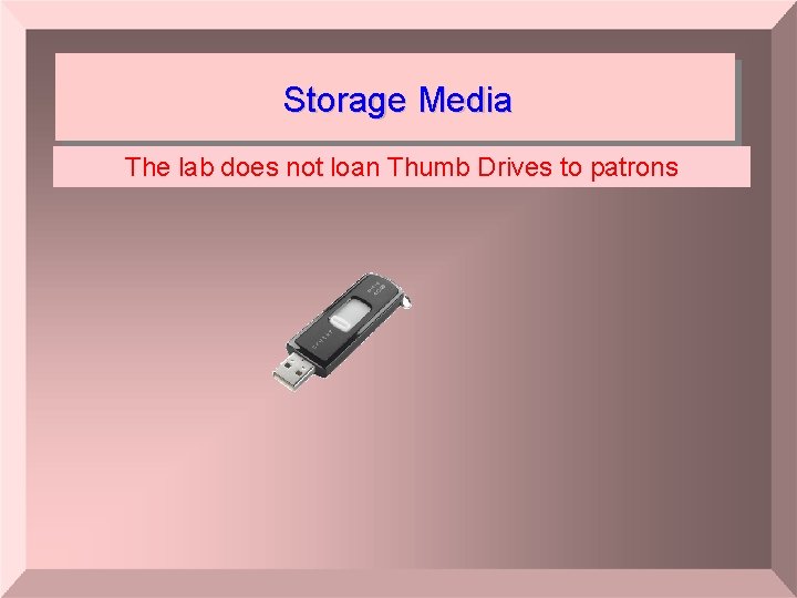 Storage Media The lab does not loan Thumb Drives to patrons 