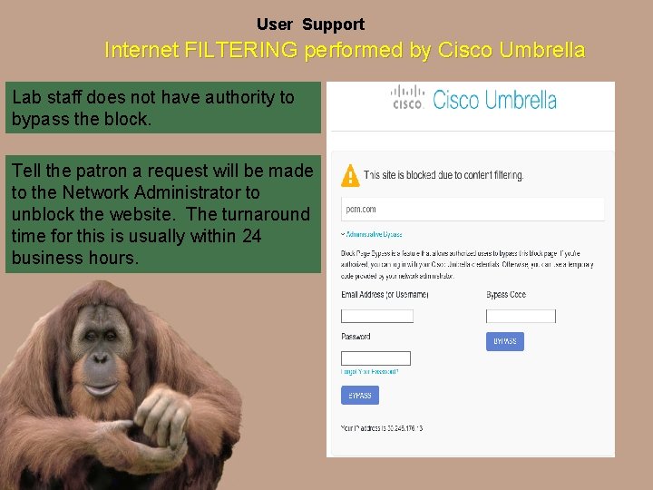 User Support Internet FILTERING performed by Cisco Umbrella Lab staff does not have authority