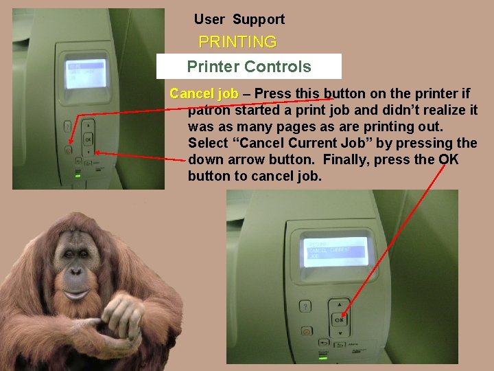 User Support PRINTING Printer Controls Cancel job – Press this button on the printer