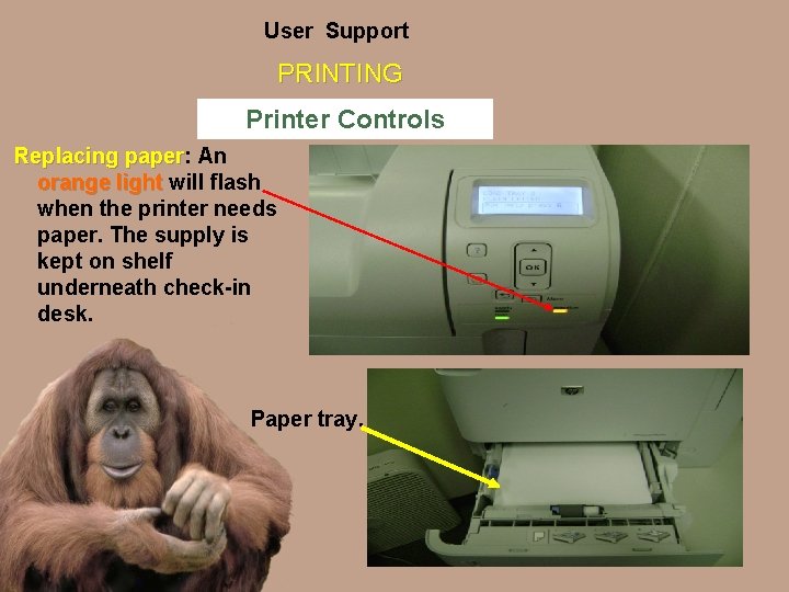 User Support PRINTING Printer Controls Replacing paper: paper An orange light will flash when