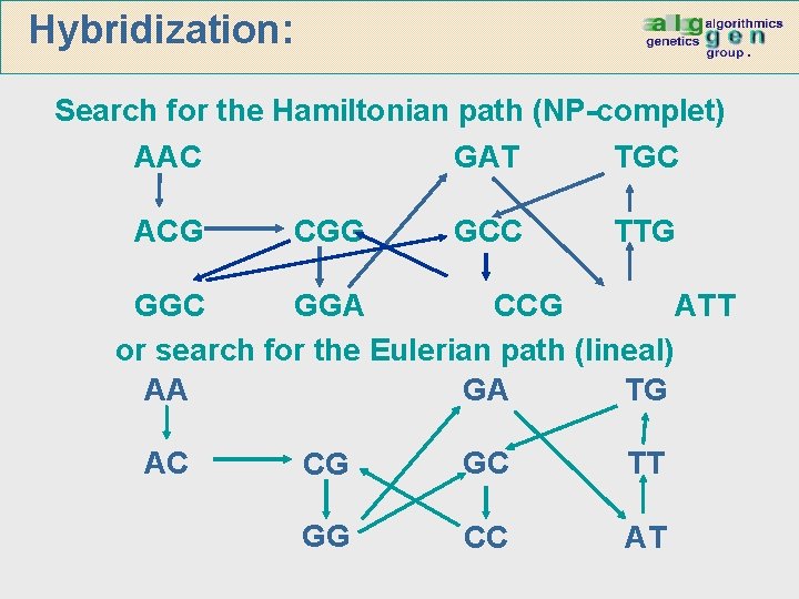 Hybridization: Search for the Hamiltonian path (NP-complet) AAC ACG CGG GAT TGC GCC TTG