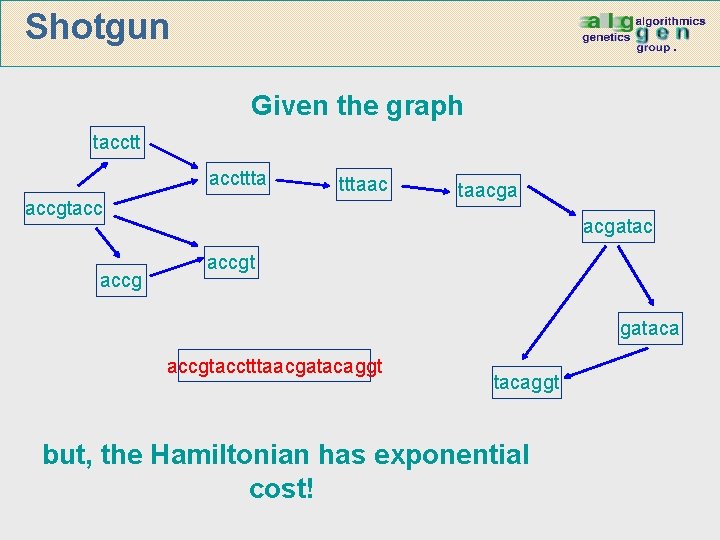 Shotgun Given the graph taccttta tttaac accgtacc accg taacgatac accgt gataca accgtacctttaacgatacaggt but, the