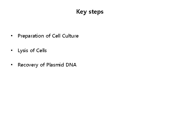 Key steps • Preparation of Cell Culture • Lysis of Cells • Recovery of