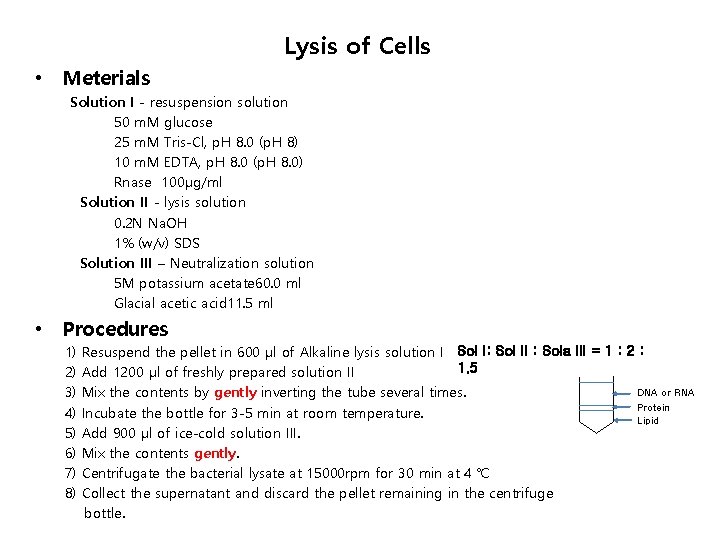 Lysis of Cells • Meterials Solution I - resuspension solution 50 m. M glucose