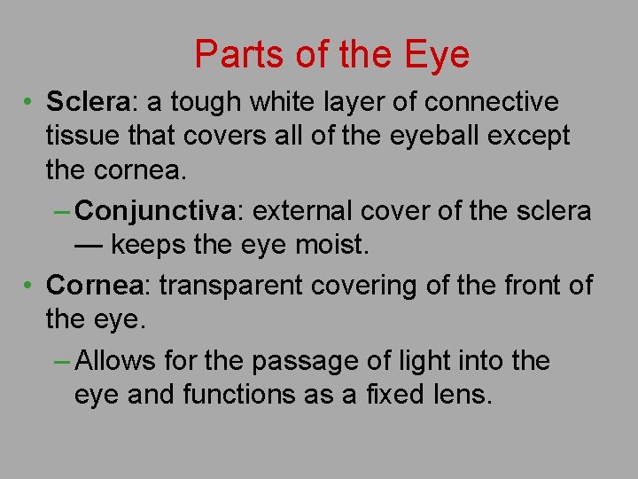Parts of the Eye • Sclera: a tough white layer of connective tissue that