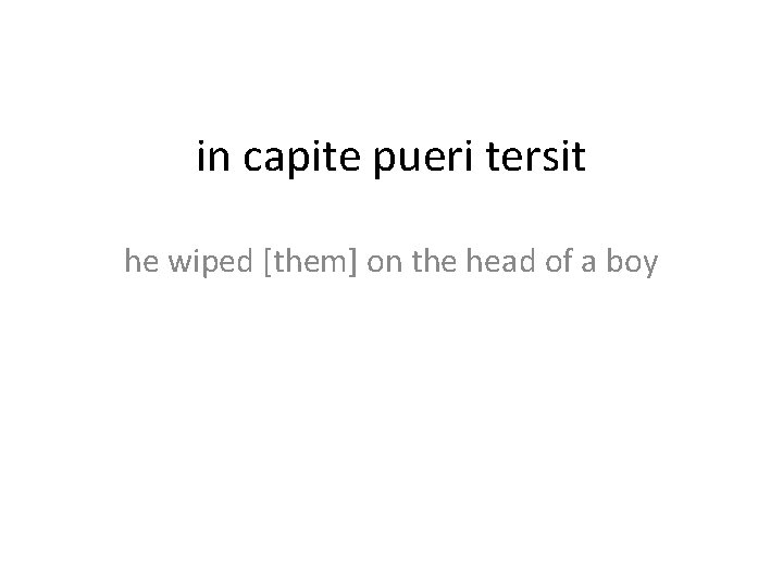 in capite pueri tersit he wiped [them] on the head of a boy 