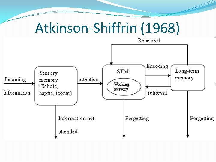 Atkinson-Shiffrin (1968) 