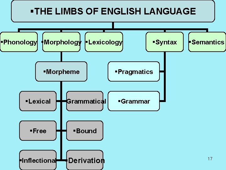 §THE LIMBS OF ENGLISH LANGUAGE §Phonology §Morphology §Lexicology §Morpheme §Lexical §Grammatical §Free §Bound §Inflectional
