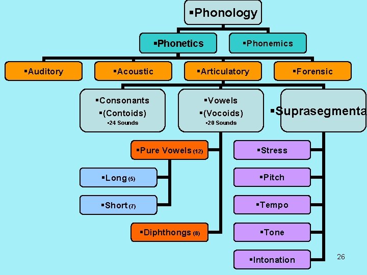 §Phonology §Phonetics §Auditory §Acoustic §Phonemics §Articulatory §Consonants §(Contoids) §Vowels §(Vocoids) § 24 Sounds §