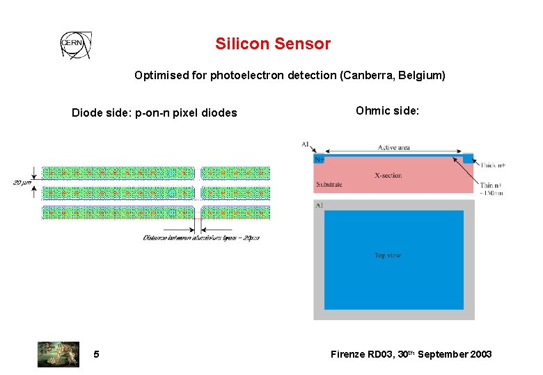 Silicon Sensor Optimised for photoelectron detection (Canberra, Belgium) Diode side: p-on-n pixel diodes Ohmic