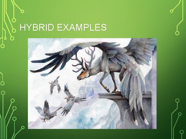 HYBRID EXAMPLES 