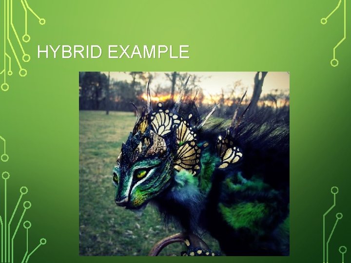 HYBRID EXAMPLE 