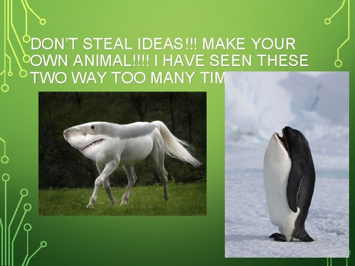 DON’T STEAL IDEAS!!! MAKE YOUR OWN ANIMAL!!!! I HAVE SEEN THESE TWO WAY TOO