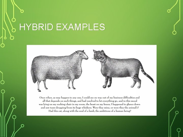 HYBRID EXAMPLES 