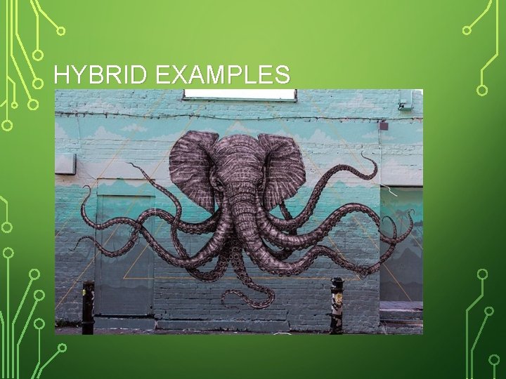 HYBRID EXAMPLES 