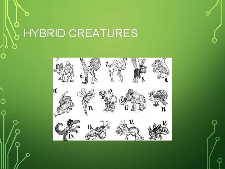 HYBRID CREATURES 