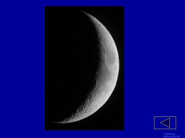 Template by Bill Arcuri, WCSD 