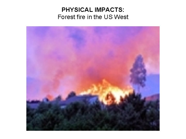 PHYSICAL IMPACTS: Forest fire in the US West 