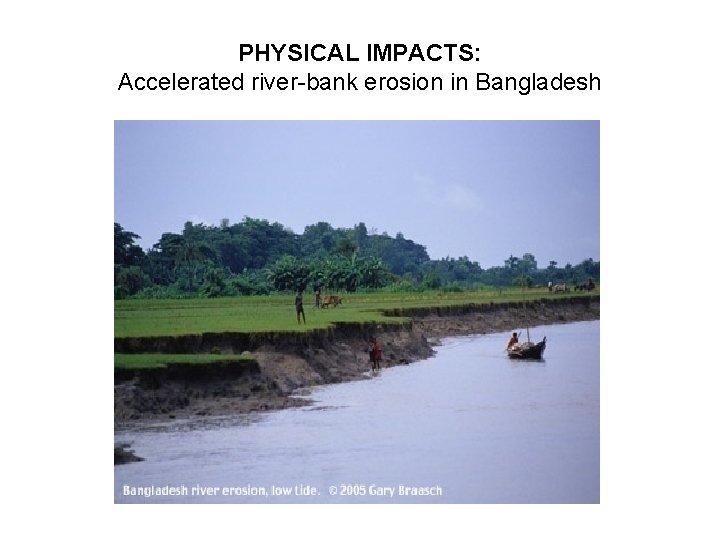 PHYSICAL IMPACTS: Accelerated river-bank erosion in Bangladesh 