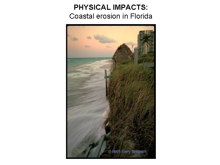 PHYSICAL IMPACTS: Coastal erosion in Florida 