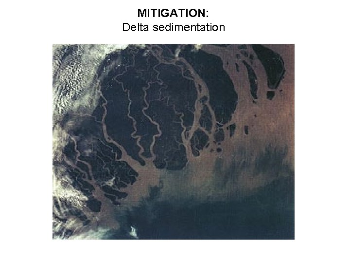 MITIGATION: Delta sedimentation 