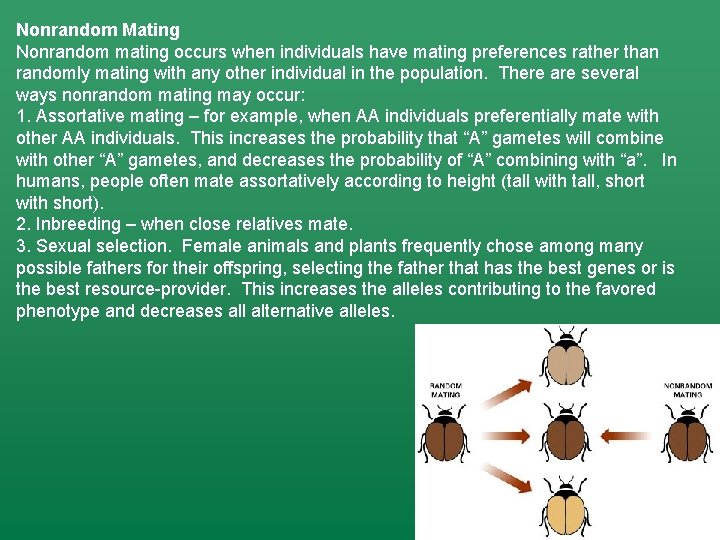 Nonrandom Mating Nonrandom mating occurs when individuals have mating preferences rather than randomly mating