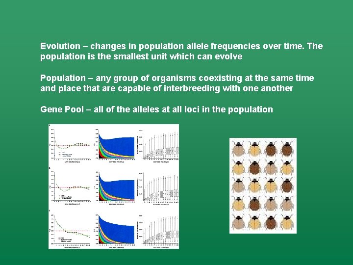 Evolution – changes in population allele frequencies over time. The population is the smallest
